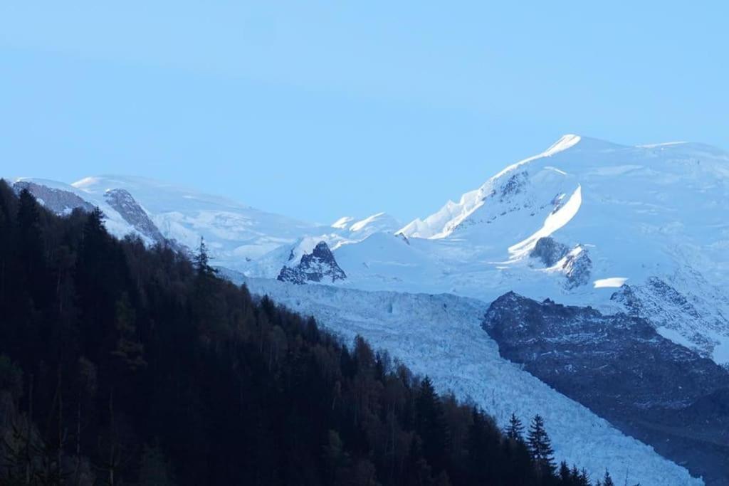 Appartement La Suite Mont-Blanc 霞慕尼 外观 照片